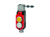 EUCHNER Safety switch SGA2A-2121ARC18-EXT5; 104012