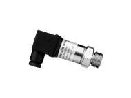 NOVUS TP NP640 1/2 BSP 0...1 BAR; 8801230010